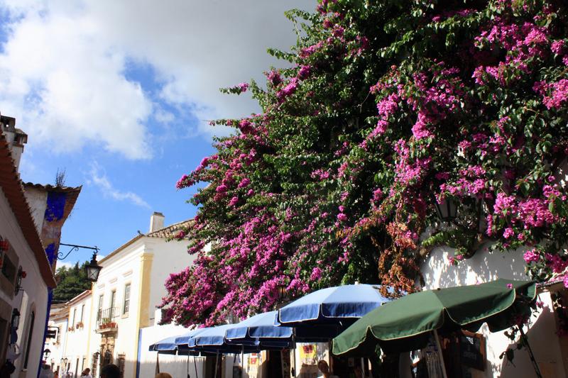 369-Obidos,29 agosto 2012.JPG
